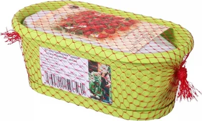 Image de Petite boîte de jardinage - JAHODA + substrat et graines 22cm