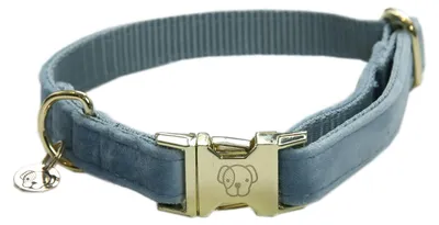 Produktbild von Kentucky Dogwear Velvet Dog Collar Hundehalsband