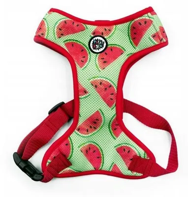 Image de Psiakrew Szelki Watermelon pour Chien Taille S