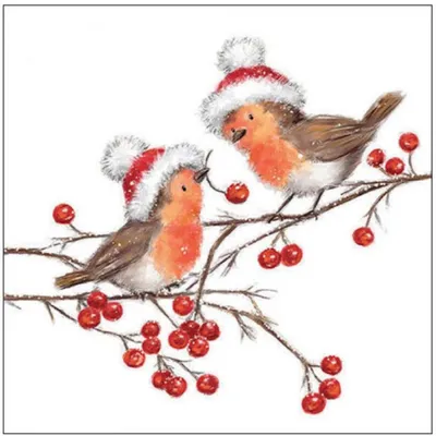 Produktbild von Servietten 33x33 cm - Christmas robins white