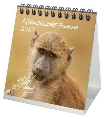 Produktbild von Pavianzauber Tischkalender 10x10cm für 2027 Affen - Seelenzauber
