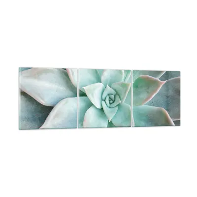 Produktbild von Bilder auf glas - 3 Teile - Blau Blätter Agave - 150x50cm - Glasbilder - Wandbilder - Bilder - zum Aufhängen bereit - Wanddekoration aus Glas - Glas Bilder - Wandbild auf Glas - GCA150x50-4628
