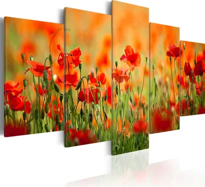 Produktbild von Leinwandbilder Mohnblumen 200x100 cm Vlies Leinwandbild 5 tlg Kunstdruck modern Wandbilder XXL Wanddekoration Design Wand Bild - Natur Feld rot 030210-20