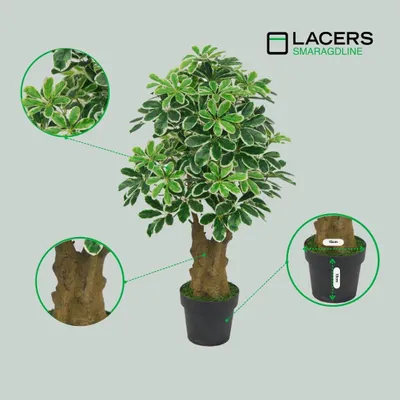 Produktbild von Lacers SMARAGDLINE pflegeleichte künstliche Schefflera – Strahlenaralie 100cm - realistische Optik, Dekoration für Wohnzimmer, Balkon und Büroräume