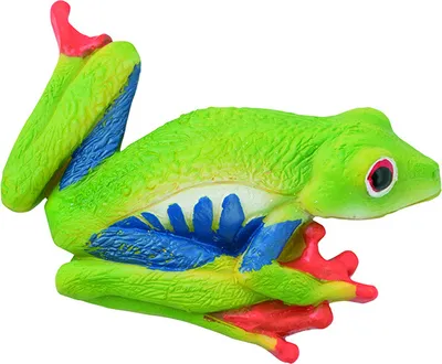 Produktbild von Nature Planet - Magnet - Frosch