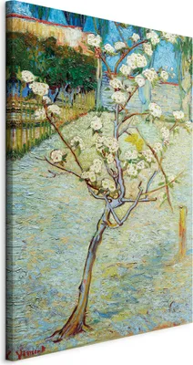 Produktbild von Italienischer Leinwand Leinwandbild - Blossoming Pear Tree 40x60 cm Reproduktionen l-F-10019-b-a