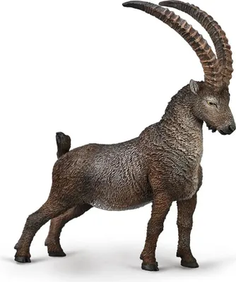 Zdjęcie produktu dla Collecta Steinbock, kolor brązowy, jeden rozmiar