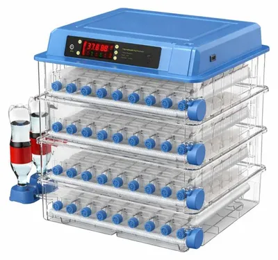 Zdjęcie produktu dla APT DA431B Automatyczna inkubator do jaj z wyświetlaczem cyfrowym, do 256 jaj, diody LED, 230 V