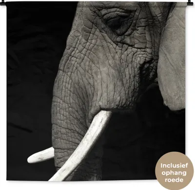 Produktbild von MuchoWow® Wandteppich Wandbehang Elefant - Tier - Stoßzahn 120x120 cm Tapisserie Dekoration Wandtuch - Modern - Baumwollgewebe