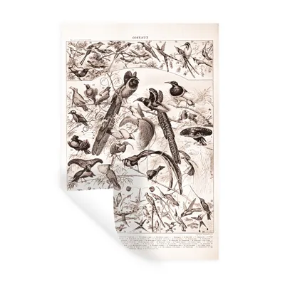 Produktbild von MuchoWow® Wandtattoo Wandsticker Wandaufkleber Vogel - Tiere - Schwarz - Weiß 80x120 cm Selbstklebend und Repositionierbar - Repositionierbar - Wasser abweisend