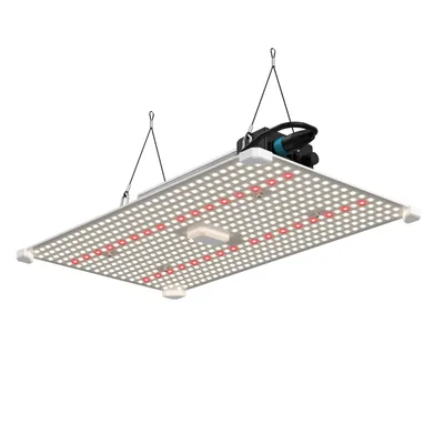 Produktbild von Lumii Black Blade LED 200 Watt - Vollspektrum Growlampe