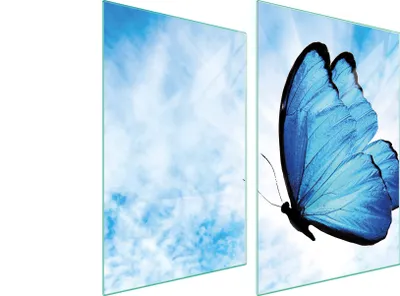 Produktbild von Glasschutzplatte Für Küche 2X35X52 Butterfly