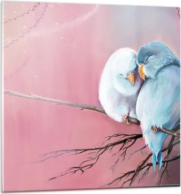 Produktbild von Bilder auf glas - Einteilig - Vögel Blau Zweig - 40x40cm - Glasbilder - Wandbilder - Bilder - zum Aufhängen bereit - Wanddekoration aus Glas - Glas Bilder - Wandbild auf Glas - GAC40x40-5026