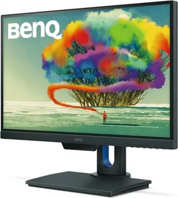 Image de BenQ 63,5cm PD2500Q   16:9  DP/mDP/HDMI gr.lift/piv.spk.WQHD
