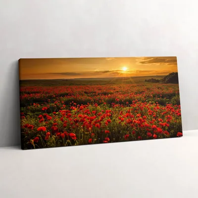 Produktbild von Landschaft einer Mohnblumenwiese – Leinwandbild Wandbild – 100x50 cm – Leinwandbilder – Wandbilder – Schlafzimmer – Flur