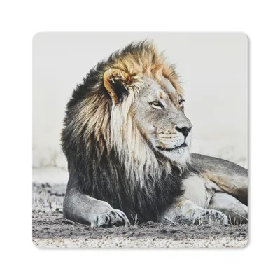 Produktbild von MuchoWow® Mauspad Mousepad Tiere - Porträt - Farbe 20x20 cm - Mousepads - Maus Mat - Pad - Mausunterlage - Desk Mat - Bureauartikeln