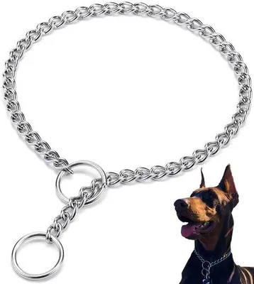 Produktbild von Famanu Hundehalsband aus Metall - Anti-Kauen, für mittelgroße und große Hunde