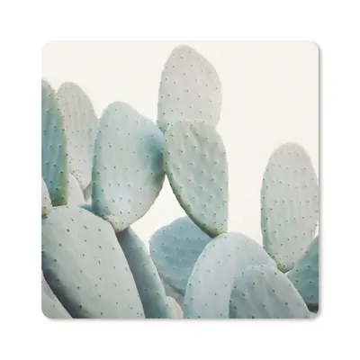 Produktbild von MuchoWow® Mauspad Mousepad Pflanze - Grün - Kaktus - Natur 20x20 cm - Mousepads - Maus Mat - Pad - Mausunterlage - Desk Mat - Bureauartikeln