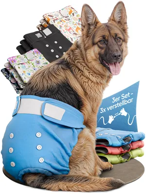 Produktbild von HUND IST KÖNIG Windeln für Hündinnen [3 Stk], L (Taille 51-66 cm), saugstarke Windeln, 3-Fach justierbar für festen Sitz bei Läufigkeit & Inkontinenz