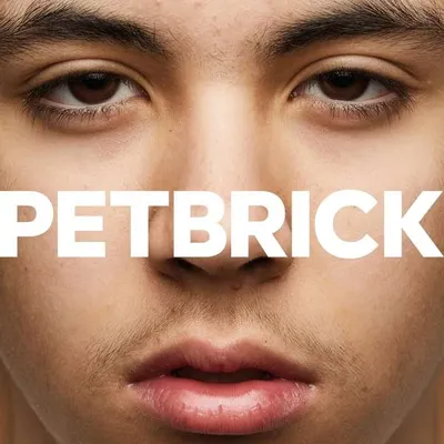 Obrázok produktu pre Petbrick - I
