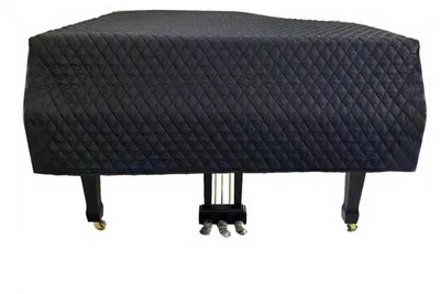 Productafbeelding van Pianohoes met Waterdichte Lining