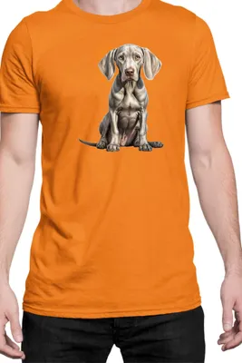 Immagine prodotto di Maglietta da uomo Dogs Breeds Weimaraner Dog Breed 006, Man 2XL , Orange