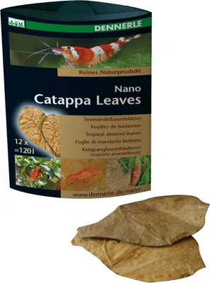 Productafbeelding van Dennerle Nano Catappa Leaves | 12 stuks | natuurlijke waterverbeteraar en bladvoer voor garnalen
