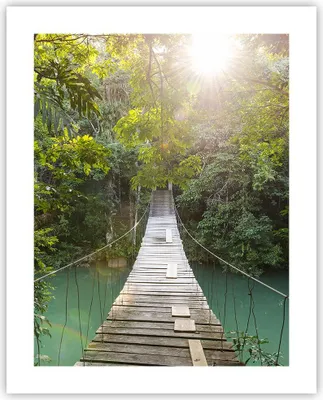 Produktbild von Poster - Poster ohne Rahmen - Brücke Seil Dschungel - 40x50 cm - Wand Bild - Wanddeko - Wandbilder - Kunstposter - Wandposter - Bilder - Kunstdruck - Wanddekoration - Wandbild - P2XPA40x50-4397