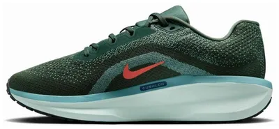 Produktbild von Laufschuhe Nike FJ9509-300 für Herren