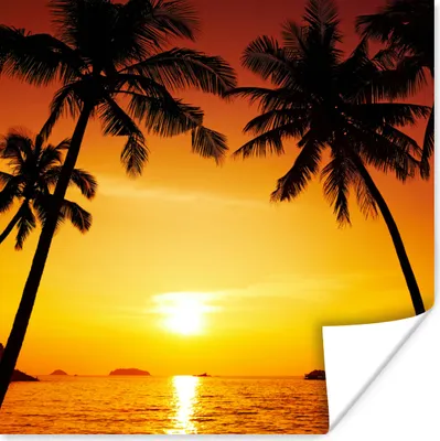 Produktbild von MuchoWow® Poster Palme - Sonnenuntergang - Strand - Orange - Tropisch 75x75 cm - Wand Dekoration