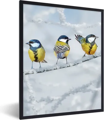 Produktbild von MuchoWow® Gerahmtes Poster Vogel - Kohlmeise - Winter - Schnee - Zweige 60x80 cm - Poster mit Schwarzem Bilderrahmen Wandposter Rahmen Foto Bilder - Premium - Wanddeko Wohnzimmer