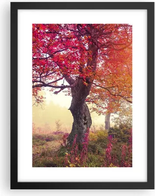 Produktbild von Gerahmtes Poster - Schwarzer Rahmen - Baum Natur Wiese - 30x40 cm - Wand Bild - Wanddeko - Wandbilder - Kunstposter - Wandposter - Bilderrahmen - Bilder - Kunstdruck - Wandbild - P2BPA30x40-3658