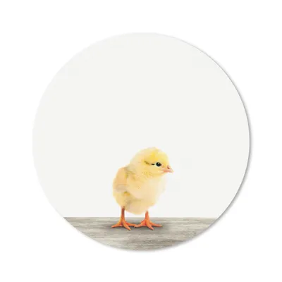 Produktbild von MuchoWow® Mauspad Mousepad Küken - Tiere - Jungen - Mädchen - Kinder 30x30 cm - Mousepads - Maus Mat - Pad - Mausunterlage - Tischunterlage - Schreibtischmatten