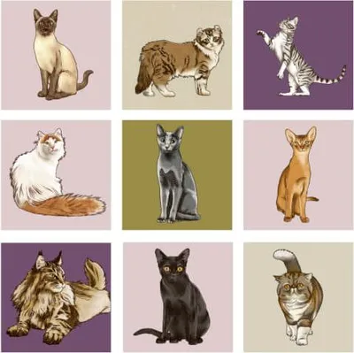 Produktbild von Memo - I love cats