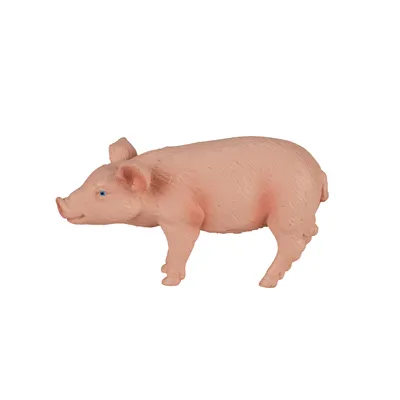 Image de Animal Planet Porcelet