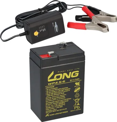 Immagine prodotto di BATTERIA AGM A PIOMBO 6V 4,5Ah compatibile per UPS LEAD GEL + CARICATORE