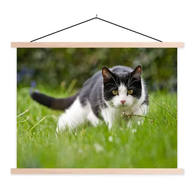 Produktbild von MuchoWow® Textilposter Katze - Gras - Schwarz - Weiß - Mädchen - Kinder - Jungen - Kinder 150x113 cm mit holzfarbenen Rahmen - Poster