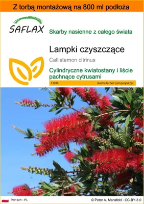 Zdjęcie produktu dla SAFLAX - Garden in the bag - Lampki czyszczące - 400 Nasiona - Z podłożem uprawowym w praktycznej, samorozkładającej się torbie - Callistemon citrinus