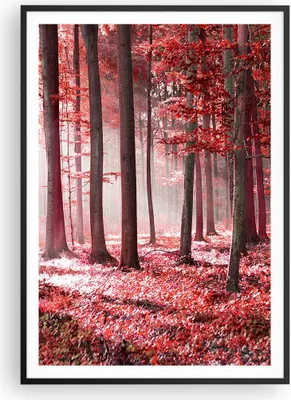 Produktbild von Gerahmtes Poster - Schwarzer Rahmen - Wald Rot Bäume - 70x100 cm - Wand Bild - Wanddeko - Wandbilder - Kunstposter - Wandposter - Bilderrahmen - Bilder - Kunstdruck - Wanddekoration - P2BPA70x100-4944