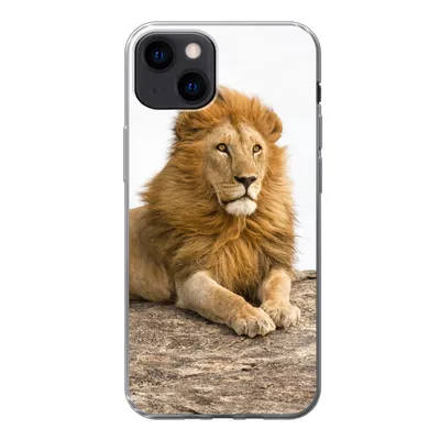 Produktbild von MuchoWow® Handyhülle Schutzhülle Hülle für iPhone 13 Löwe - Mähne - Tier Silikon Softcase Handy Hülle - Karteninhaber