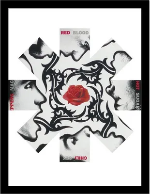 Produktbild von Red Hot Chili Peppers - Rosen-Gerahmtes Poster PM12457 (45 cm x 35 cm) (Schwarz/Weiß/Rot)