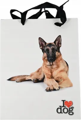 Produktbild von Geschenktüte Katzen Hunde 18x24cm - Robuste Papiertüte für Geschenke - Verschiedene Motive