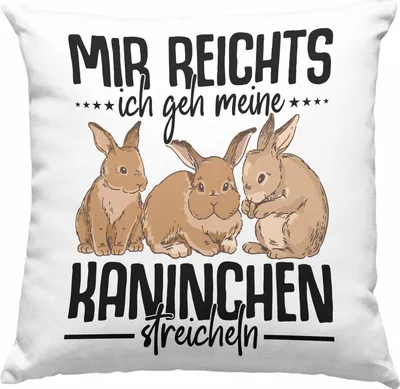 Produktbild von Trendation - Kaninchen Deko-Kissen mit Füllung 40x40 Hasen Süßer Hase Haustier Ostern Geschenk Haustier (Rosa)