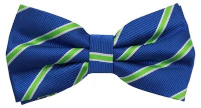 Produktbild von Fabio Farini - 1 Stück Herren Streifen Fliegen - Männer Querbinder Vorgebunden Bowtie Streifen - Blau/Grün/Weiß