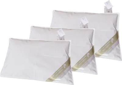 Produktbild von 3 Stück Betten Hofmann Kinder Baby Daunenkissen 40x60 cm Flachkissen 100% Daunen