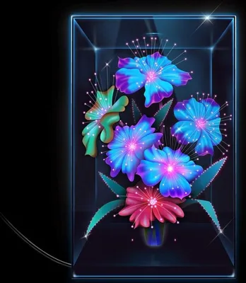 Image de Une rose