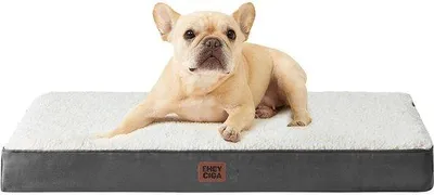 Immagine prodotto di Cuccia ortopedica per cani 76x51x9 cm, lavabile, beige, morbida