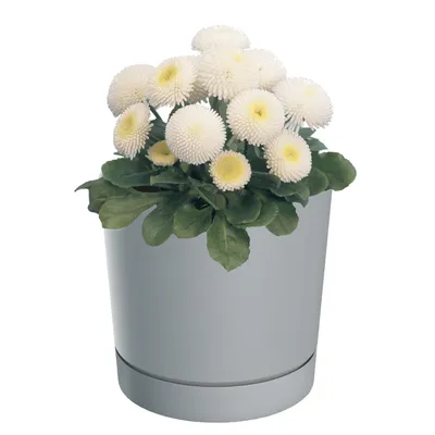 Produktbild von Blumentopf mit Untersetzer Ø19,9 cm Höhe 19,6 cm Rund Matt Modern Glatt Modisch Farbe Grau -stilvolle und langlebige Inner-heimdekoration Gehäuse