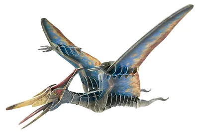 Productafbeelding van Puzzle 43, 3D Dinosaurussen, Pteranodon, 112355