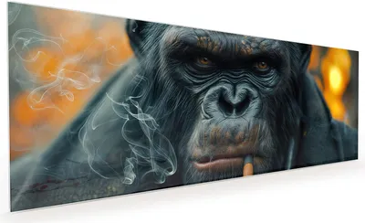 Produktbild von Küchenrückwand Spritzschutz Glas mit Motiv Rauchender Affe 40 x 40 cm